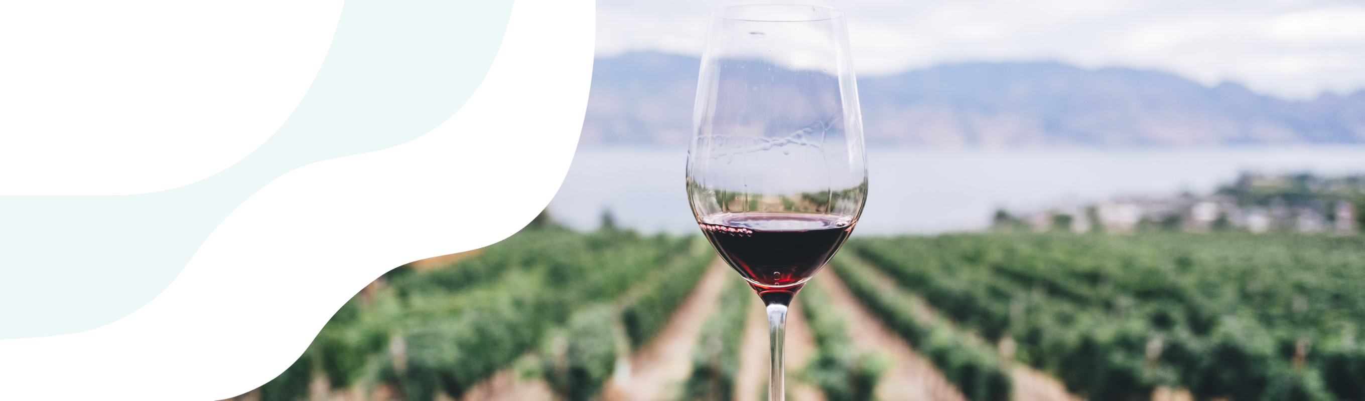 How Page Protect Enabled Seamless PCI DSS 4.0 Compliance for a Leading Beverage Retailer