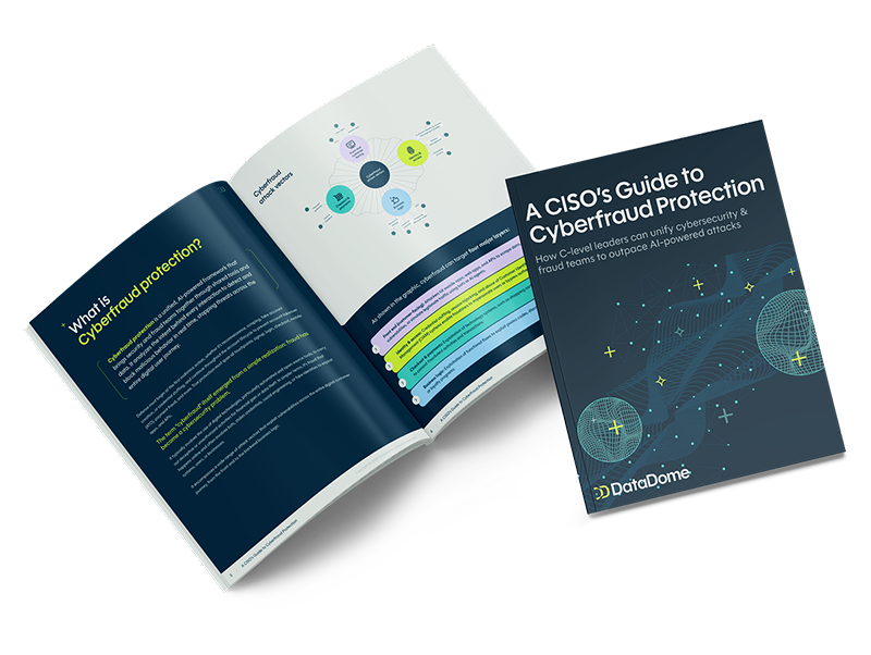 Cyberfraud protection guide Whats inside